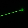 230mW 532nm grüne Lichtstrahl-Licht-Laser-Zeiger-Feder Goldene 853