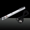 USB 100mW faisceau rouge étoilée charge Pen pointeur laser blanc