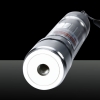 500mW Lila Lichtstrahl-Licht-Laser-Zeiger-Feder-Silber