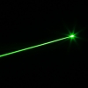 1500mW Grün Strahl Licht Separate Kristall Lotus-förmigen Kopf Laserpointer Silber