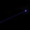300mW 405nm Purple Beam Light Laser Torch Silver