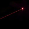 300mW Red Beam Licht Testmusters Laser Fackel Silber