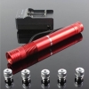 500mW 532nm faisceau vert focalisation de la lumière pointeur laser portable Pen Rouge LT-HJG0087
