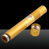 300mW 532nm Penna puntatore laser con messa a fuoco a luce verde con fascio luminoso dorato con cinturino dorato LT-HJG0084