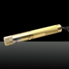 LT-303 200mW 532nm feixe de luz Focusable Laser Pointer Pen Kit de Ouro