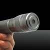 LT-WJ228 100mW 532nm Dual-colore fascio luminoso zoom Laser Pointer Pen Kit Argento