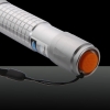 2000MW 450nm Blue Beam Lumière unique point Argent Style de stylo pointeur laser