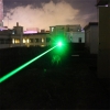 LT-300MW impermeabile puntatore laser verde penna d'argento