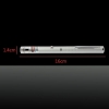 1mw 405nm Blue and Purple Beam Light Starry Sky & Single-point Laser Pointer Pen Silver