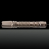 LT-3000MW 450nm a punto singolo Blu Laser Pointer Pen