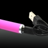 5-in-1 100mw 405nm Purple Laser Beam USB Laser Pointer Pen with USB Cable and Laser Heads Pink