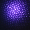 1mW 405nm sternenklare Muster Blaue und lila Licht Naked Laserpointer Grün