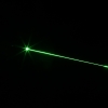 150mW 532 nm verde fascio di luce messa a fuoco regolabile Tailcap interruttore ricaricabile dritta Laser Pointer Pen Argento