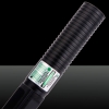 30000mw 532nm Penna puntatore laser ricaricabile a cristallo separato stile punto verde chiaro set nero