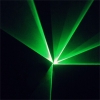 300mW 532nm Doppel Green Light Farbstrudel Licht Stil wiederaufladbare Laser-Handschuh Schwarz Größe frei