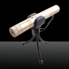 LT-303 5mW 532nm vert faisceau lumineux lumière réglable Styles stylo pointeur laser avec de l'or Support de luxe