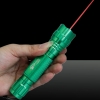 LT-501B 300mw 650nm Rosso fascio luminoso potente puntatore laser Set verde