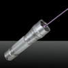 LT-501B 100mW 405nm Light Purple simple point lumineux style rechargeable pointeur laser Pen Set Argent
