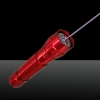 LT-501B 100mW 405nm Lila Hell Single Dot Licht Stil wiederaufladbare Laserpointer Set Red