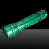Style ricaricabile LT-501B 500mw 405nm viola chiaro singolo punto luce laser Pointer Pen Set Verde