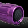 LT-501B 500mw 405nm Purple Light Single Dot Light Style Rechargeable Laser Pointer Pen Set Purple