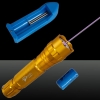 Pointeur Laser style rechargeable LT-501B 5mW 405nm Purple Beam Lumière simple point lumineux Pen Set or