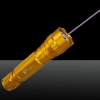 LT-501B 5mW 405 nm púrpura rayo luz solo punto de luz Estilo recargable Laser Pointer Pen Set de Oro
