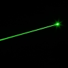 100mW 532nm feixe de luz verde ponto único estilo Handheld zoomable impermeável ponteiro laser