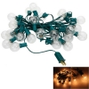 G40 25-LED Light Bulb Outdoor Yard Lamp String Light with Green Lamp Wire Transparent & Silver