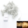 3M x 3M 300-LED luce bianca calda romantico matrimonio di Natale Decorazione esterna tenda luce stringa (110V) spina standard europeo
