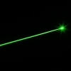 TS-002 1000mW 532nm Green Laser Pointer Pen Silver