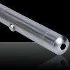 Penna laser verde chiaro da 5mW a 532nm con raggio d'argento e bianco