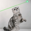5mW 532nm Beam Light Green Laser Pen Silver and White