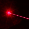 5mW Profesional Gypsophila Light Pattern Red Laser Pointer Rojo Azul