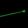 50mW Professional Gypsophila Padrão de luz Green Laser Pointer Vermelho