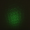 200mW Professional Gypsophila Light Pattern Green Laser Pointer Blue