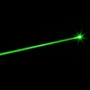 200mW Professional Gypsophila Light Pattern Green Laser Pointer Blue