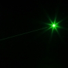 100mW Professional Gypsophila Light Pattern Green Laser Pointer Blue