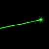 100mW Profesional Gypsophila Light Pattern Green Laser Pointer Blue