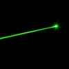 100mW Profesional Gypsophila Light Pattern Green Laser Pointer Rojo