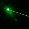Pointer 5Pcs 300mW professionale del laser di verde vestito con 16340 batteria e caricatore nero (619)