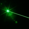 300mW Professional Green Laser Pointer Anzug mit 16340 Akku & Ladegerät Silber