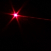 Pointeur laser professionnel rouge de 200 MW avec boîte noire