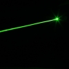 5mW Professional Verde e Red Light Laser Pointer com Box & 2AA Bateria Black (532)