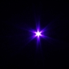 5mW Punkt-Muster-lila Licht ACC Leiterlaserpointer Schwarz