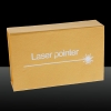 500mW Dot Pattern ACC Circuit Green Light Laser Pointer Pen Silver