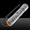 Argent Motif 50mW Dot Green Light ACC Circuit stylo pointeur laser