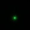 200mW Dot Pattern Green Light ACC Circuit Laser Pointer Pen Silver