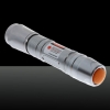 100mW Dot modello Red Light ACC Circuito Laser Pointer Pen Argento