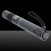200mW 532nm faisceau vert Mise au point Pointeur Laser Light Pen avec 18 650 Argent Batterie rechargeable